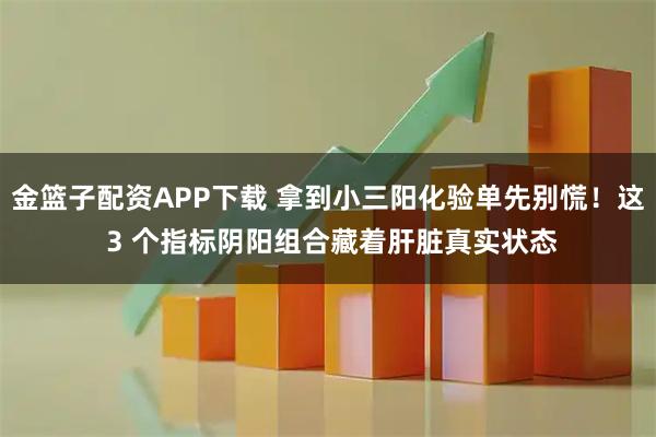 金篮子配资APP下载 拿到小三阳化验单先别慌！这 3 个指标阴阳组合藏着肝脏真实状态