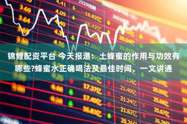 锦鲤配资平台 今天报道：土蜂蜜的作用与功效有哪些?蜂蜜水正确喝法及最佳时间，一文讲通