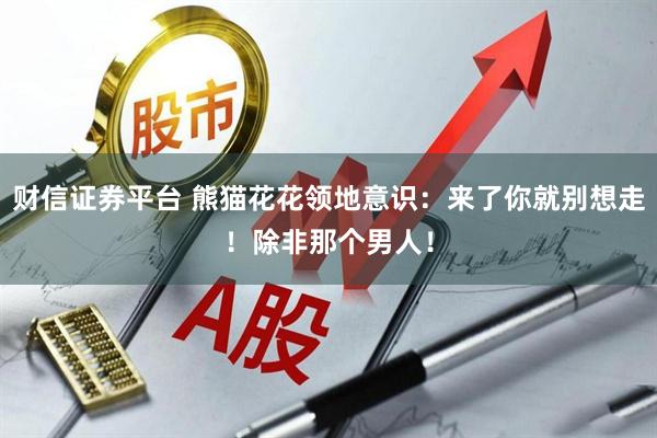 财信证券平台 熊猫花花领地意识：来了你就别想走！除非那个男人！